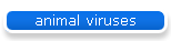 animal viruses