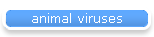 animal viruses
