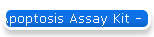 Apoptosis Assay Kit - FITC
