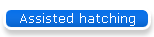 Assisted hatching