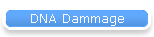 DNA Dammage