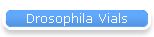Drosophila Vials