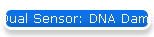 Dual Sensor: DNA Damage & Caspase 3 Detection