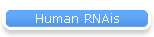 Human RNAis