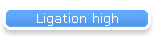Ligation high