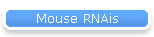 Mouse RNAis