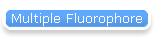 Multiple Fluorophore