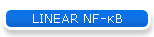 LINEAR NF-κB