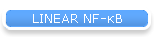 LINEAR NF-κB