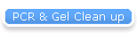 PCR & Gel Clean up