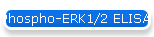 Phospho-ERK1/2 ELISA Assay Kit (Colorimetric)