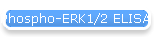 Phospho-ERK1/2 ELISA Assay Kit (Colorimetric)