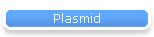 Plasmid