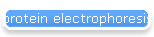 protein electrophoresis