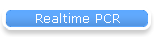 Realtime PCR