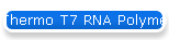 Thermo T7 RNA Polymerase