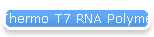 Thermo T7 RNA Polymerase