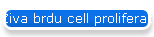 Ziva brdu cell proliferation